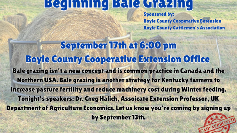 Beginning Bale Grazing