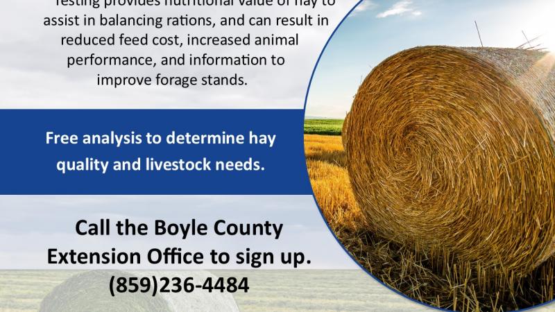 2024 Hay Contest